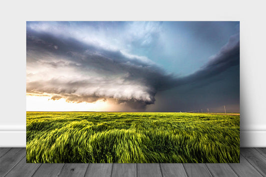 Storm metal print on aluminum of a supercell thunderstorm over a waving wheat field on a stormy spring day in Kansas by Sean Ramsey of Southern Plains Photography.