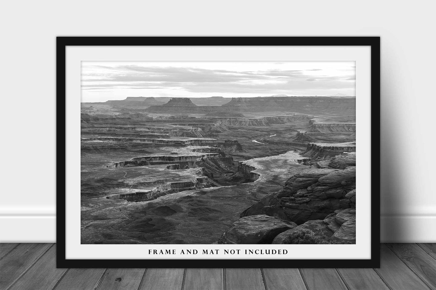 Canyonlands Photography Print | National Park Picture | Black and White Wall Art | Utah Landscape Photo | Nature Decor | Not Framed