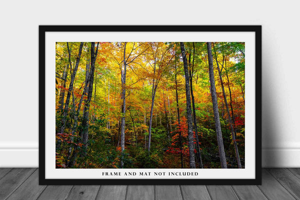 Forest Photo Print | Trees Immersed in Fall Color Picture | Tennessee Wall Art | Great Smoky Mountains Photography | Nature Decor