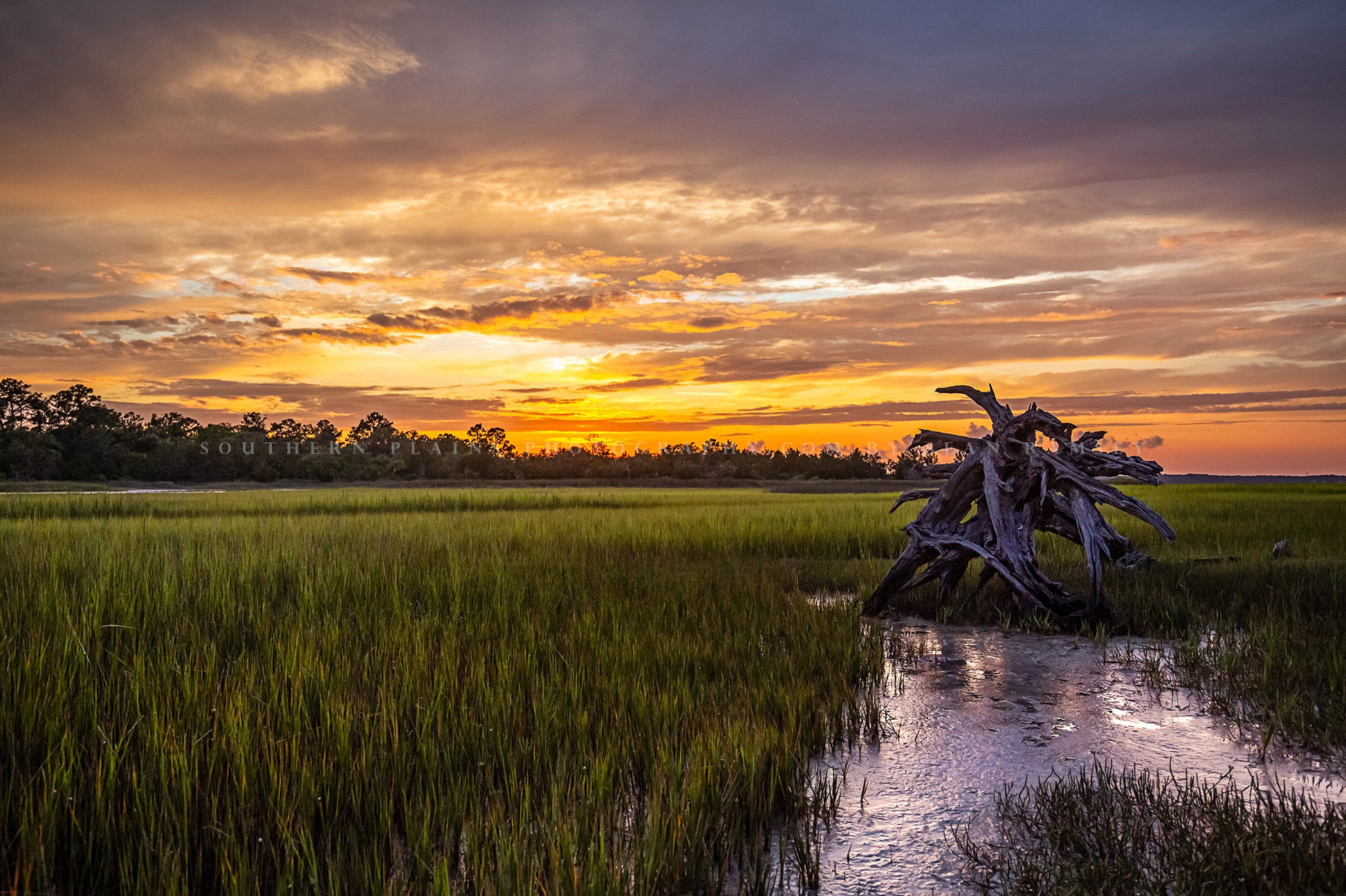 Lowcountry photography print of a dead tree in a salt marsh at sunset on Pinckney Island in South Carolina by Sean Ramsey of Southern Plains Photography.