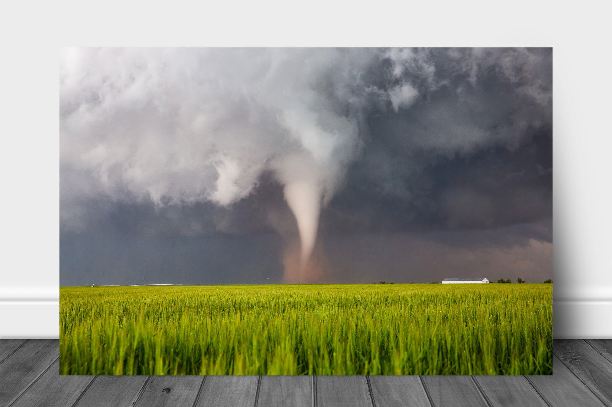 Storm metal print on aluminum of a white tornado spinning up dust in a lush green wheat field on a stormy spring day in Texas by Sean Ramsey of Southern Plains Photography.