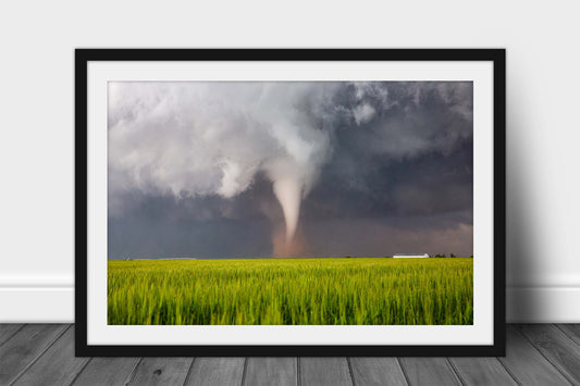 Framed and matted storm print of a white tornado over a field of green wheat on a stormy spring day in Texas by Sean Ramsey of Southern Plains Photography.