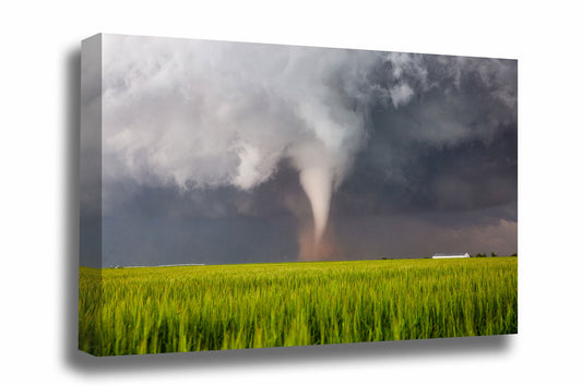 Storm canvas wall art or a white tornado spinning up dust over a wheat field on a stormy spring day in Texas by Sean Ramsey of Southern Plains Photography.