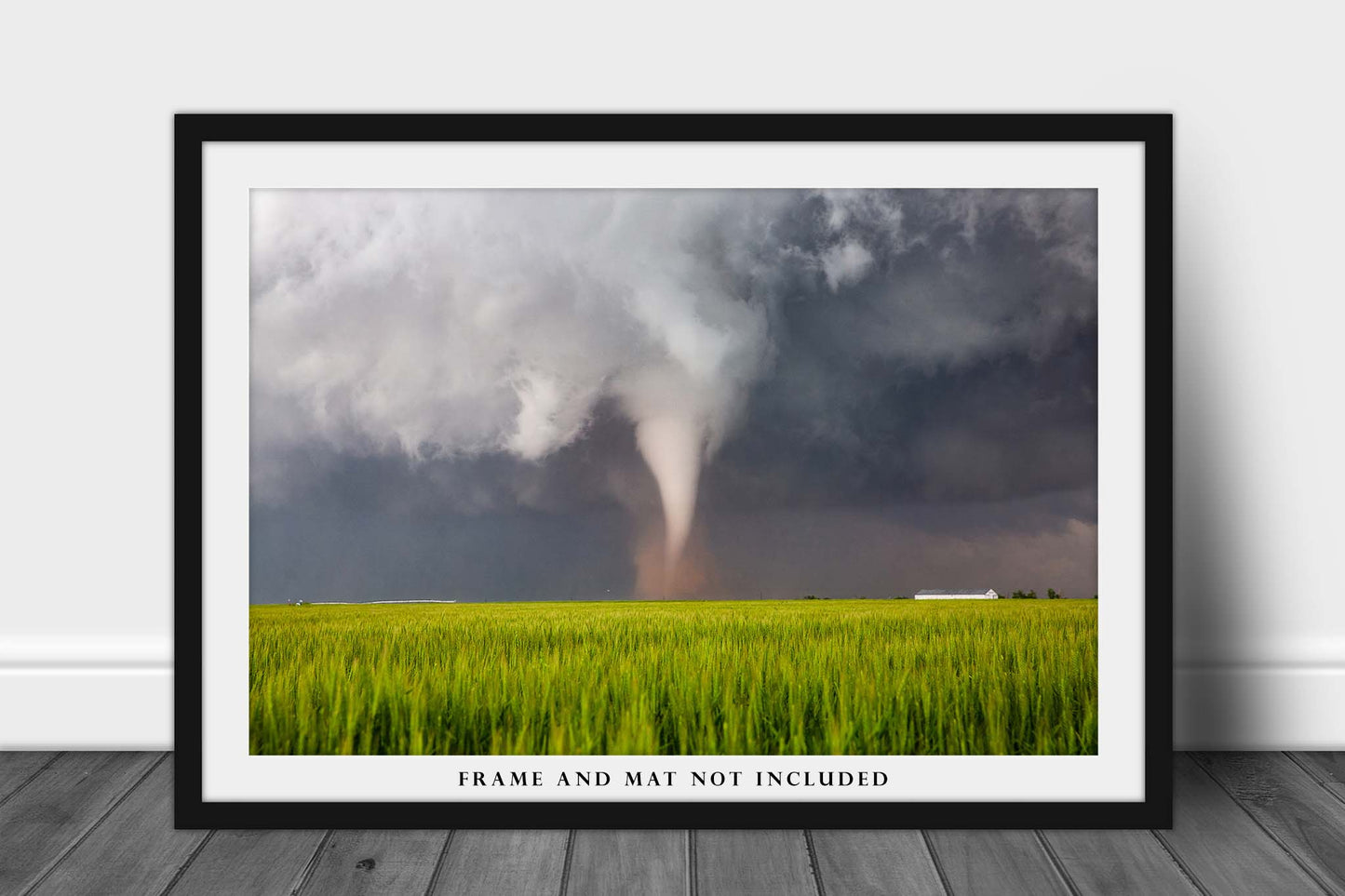 Storm Photography Print - Picture of Tornado Spinning Up Dust Over Wheat Field on Spring Day in Texas - Weather Thunderstorm Wall Art Decor