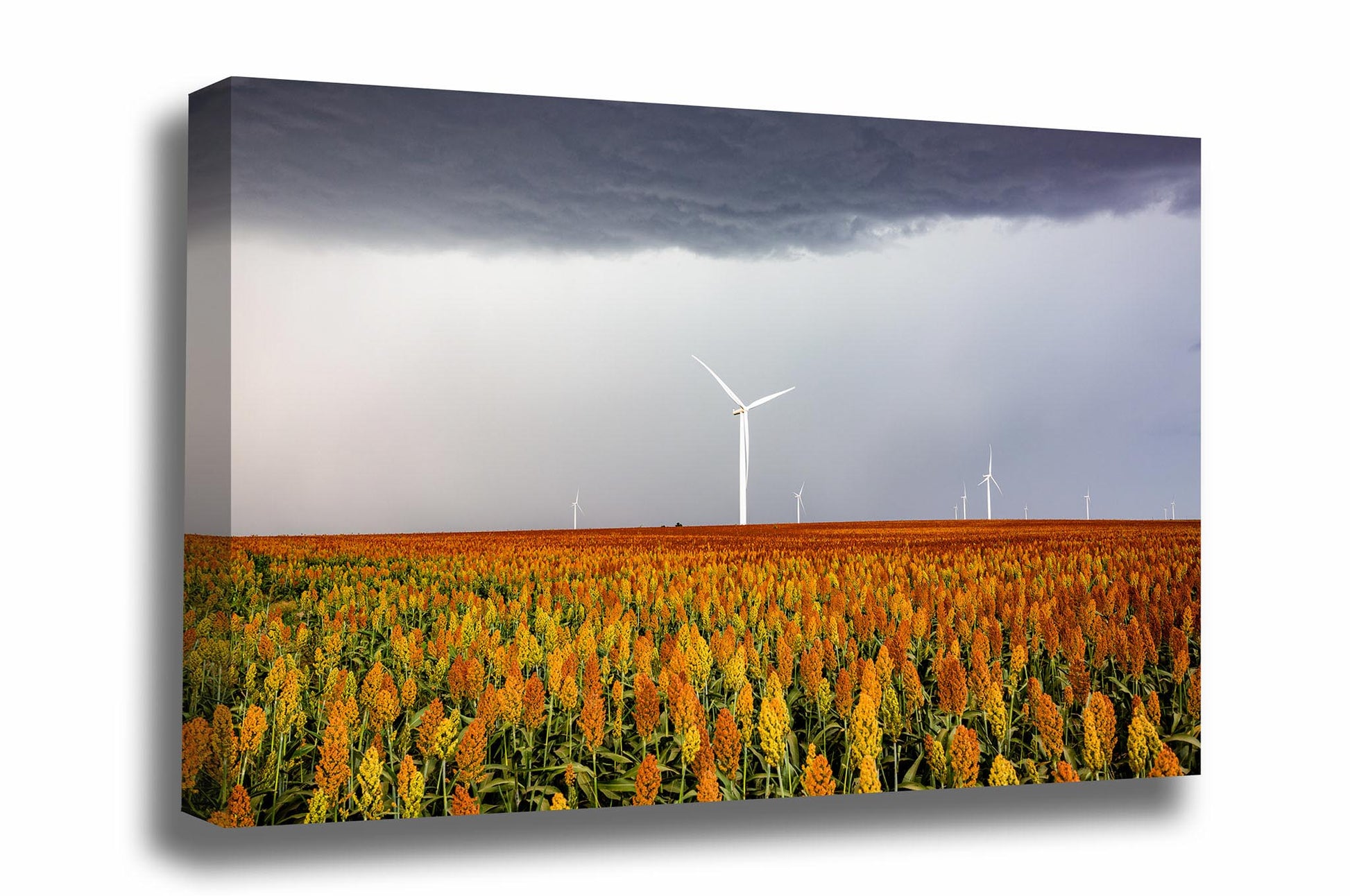 Farm and country canvas wall art of wind turbines in a sorghum field as a storm passes overhead on a stormy day in Kansas by Sean Ramsey of Southern Plains Photography.