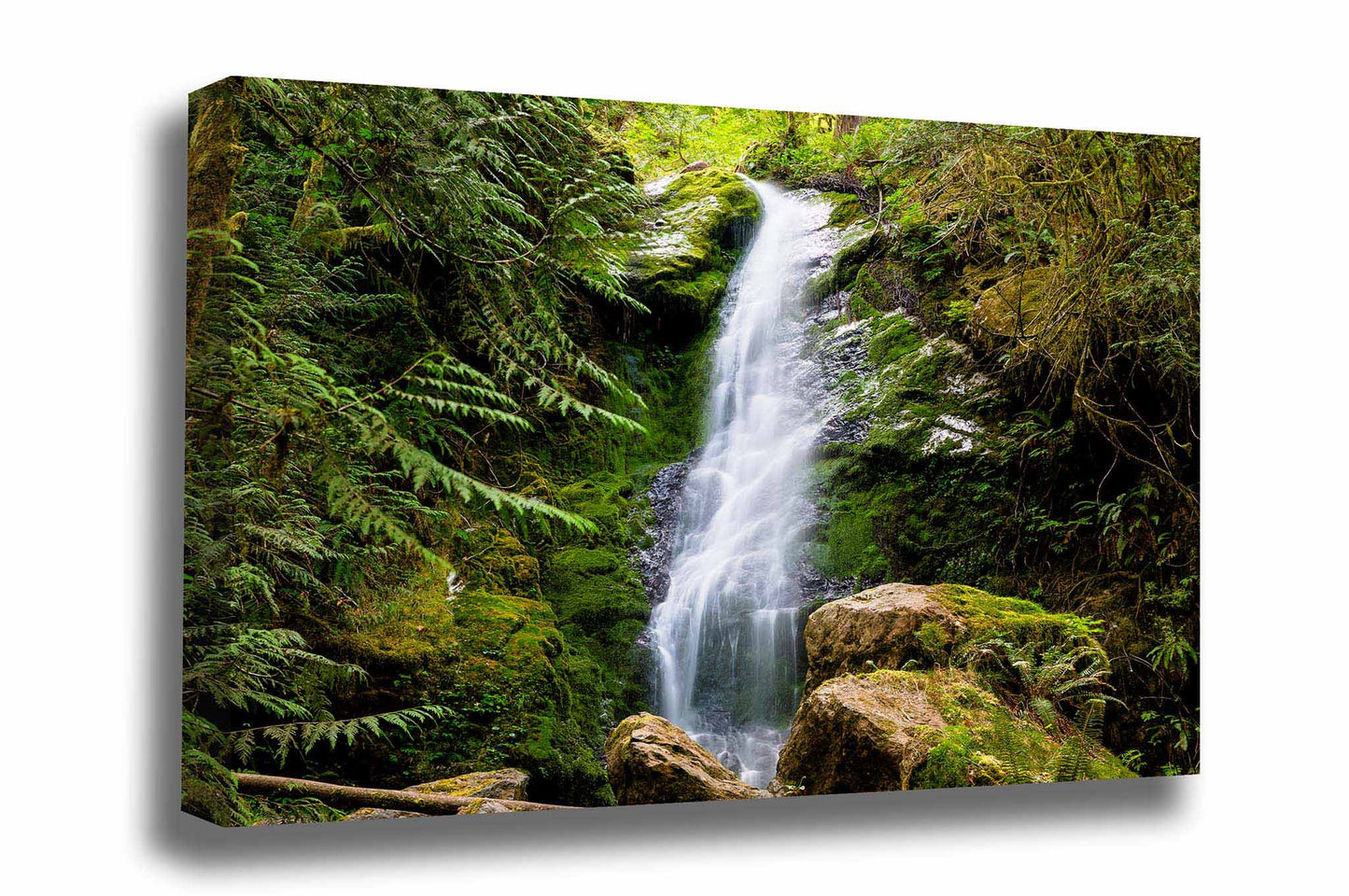 Pacific Northwest waterfall canvas wall art of Merriman Falls in the Quinault Rainforest in Washington state by Sean Ramsey of Southern Plains Photography.