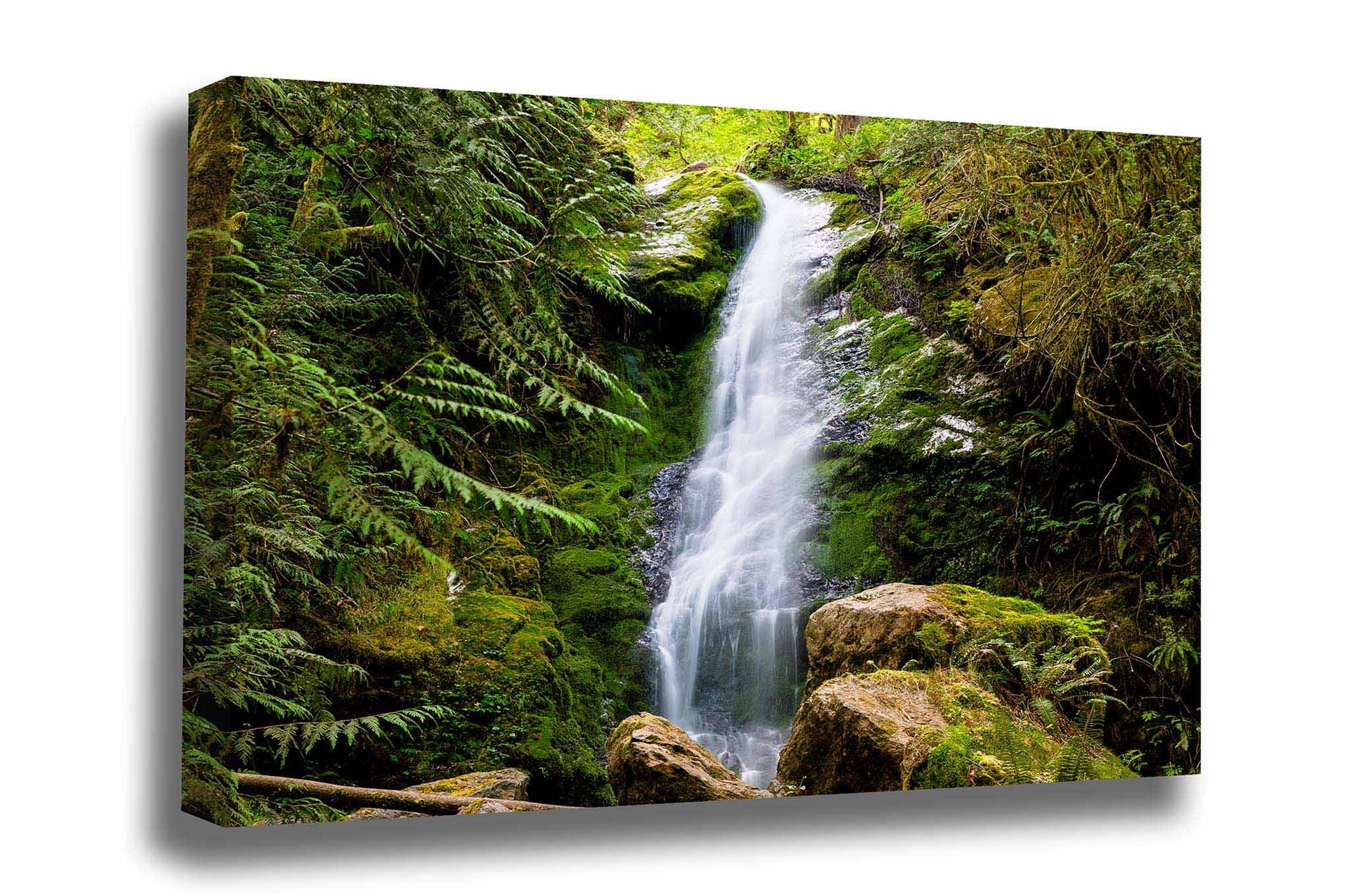 Pacific Northwest waterfall canvas wall art of Merriman Falls in the Quinault Rainforest in Washington state by Sean Ramsey of Southern Plains Photography.