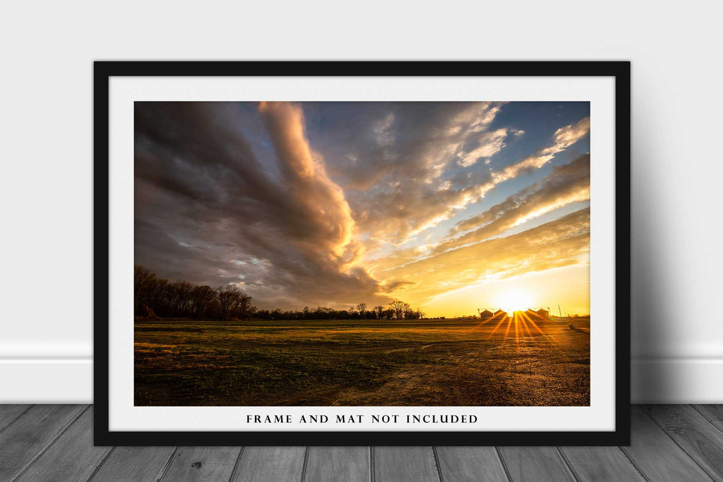 Southern Photography Print (Not Framed) Picture of Sunset Over Grain Silos Along Mississippi Delta Southeastern Wall Art Country Decor