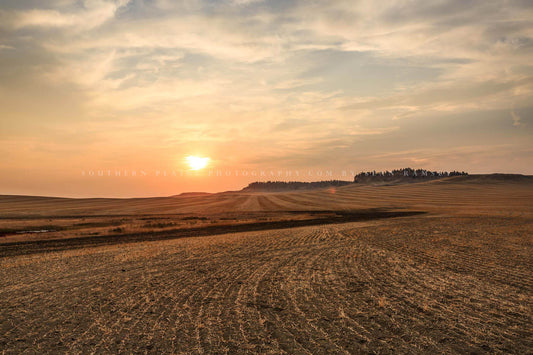 Farm photography print of plowed fields at sunset on the northern plains of Eastern Montana by Sean Ramsey of Southern Plains Photography.