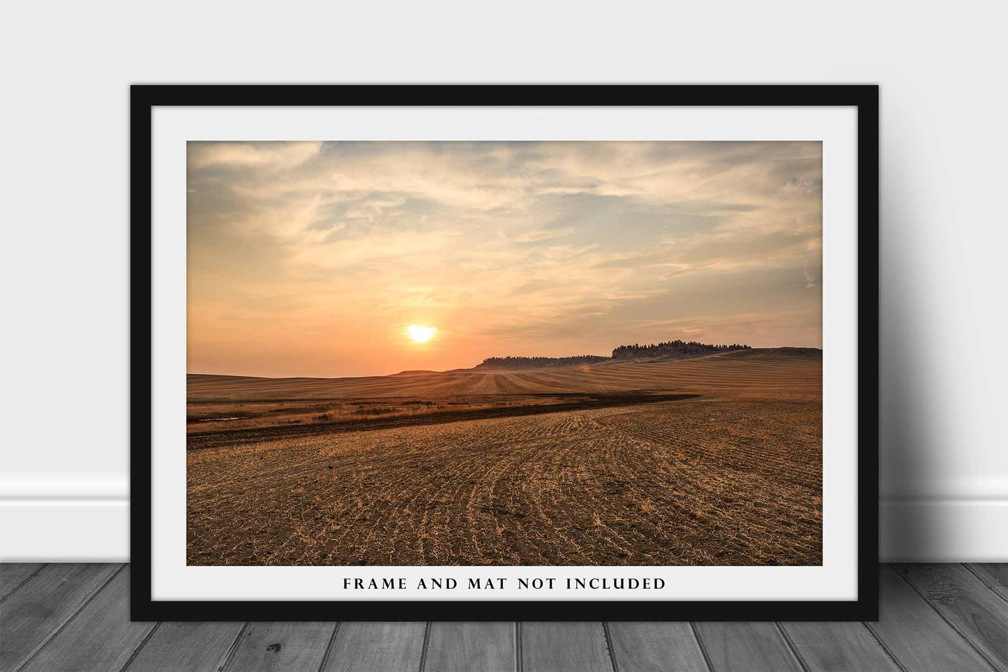 Furrowed Fields Photography Print | Farmland Picture | Farm Wall Art | Eastern Montana Photo | Agriculture Decor | Not Framed