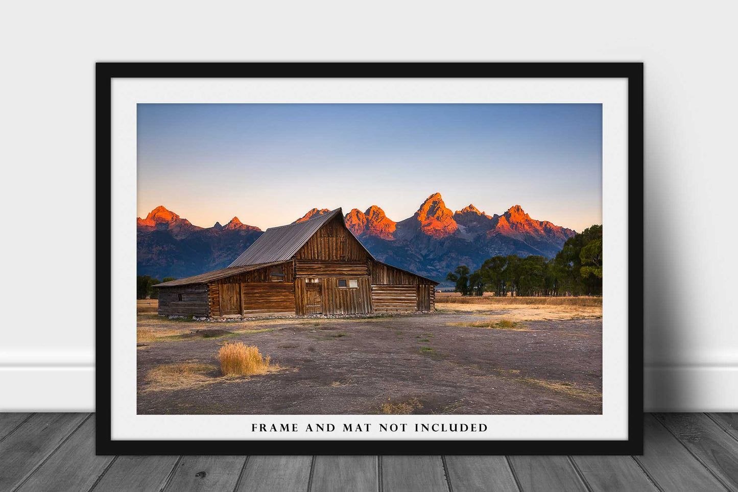 Western Wall Art Photography Print - Fine Art Print of Moulton Barn and Grand Tetons with Alpenglow at Sunrise Wyoming Decor Rustic Photo