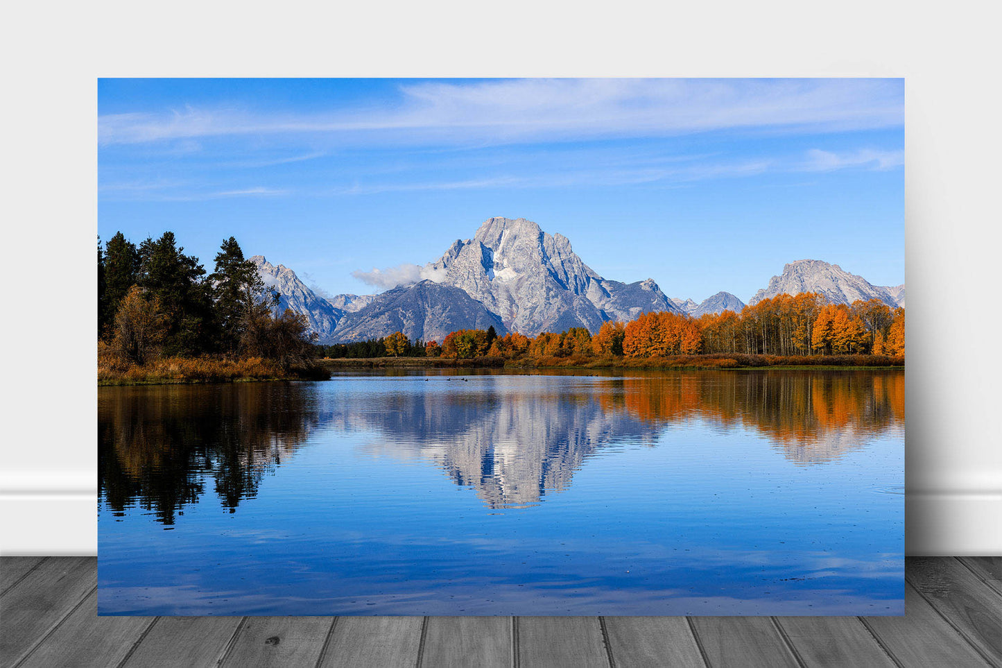 Rocky Mountain aluminum metal print wall art of Mount Moran reflecting off the waters of the Snake River on an autumn day in Grand Teton National Park, Wyoming by Sean Ramsey of Southern Plains Photography.