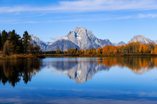Rocky Mountain photography print of Mount Moran reflecting off the waters of the Snake River on an autumn day in Grand Teton National Park, Wyoming by Sean Ramsey of Southern Plains Photography.