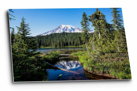 Pacific Northwest metal print on aluminum of Mount Rainier framed between pine trees on a summer day at Reflection Lake in the Cascades of Washington state by Sean Ramsey of Southern Plains Photography.