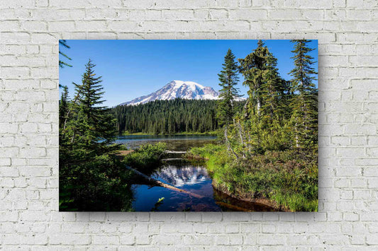 Pacific Northwest metal print on aluminum of Mount Rainier framed between pine trees on a summer day at Reflection Lake in the Cascades of Washington state by Sean Ramsey of Southern Plains Photography.
