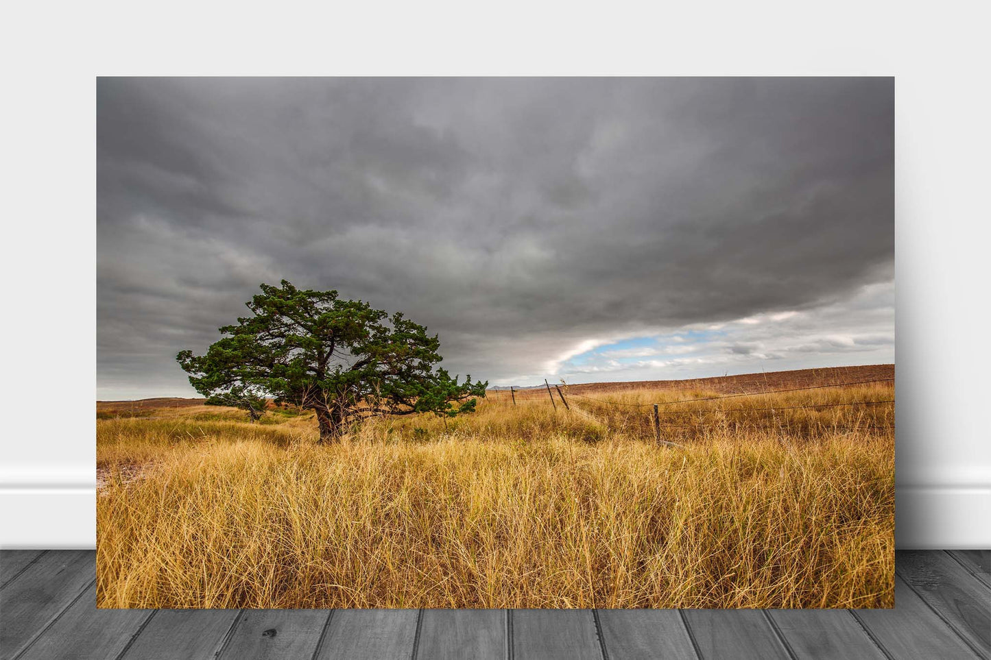 Nature aluminum metal print wall art of a lone tree nestled in prairie grass under a cloudy gray sky at Badlands National Park, South Dakota by Sean Ramsey of Southern Plains Photography.