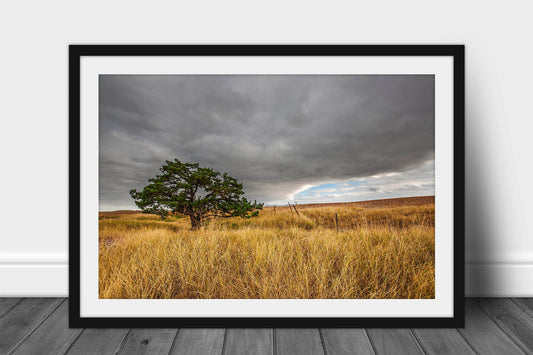 Framed and matted nature print of a lone tree nestled in prairie grass under a cloudy gray sky at Badlands National Park, South Dakota by Sean Ramsey of Southern Plains Photography.