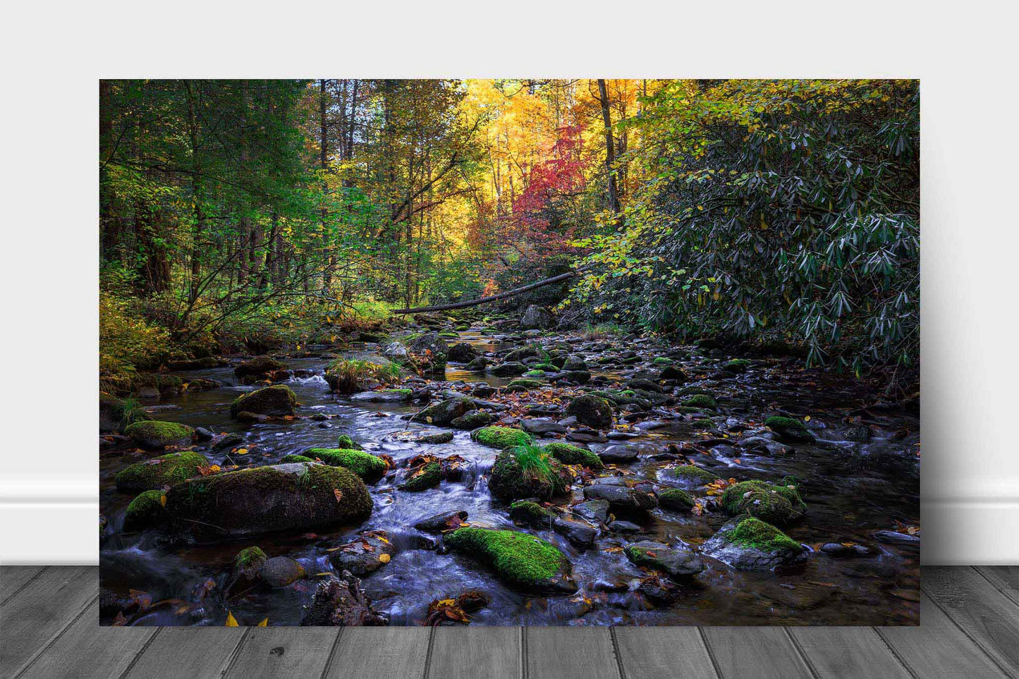 Forest metal print wall art of a creek surrounded by fall color on an autumn day in Great Smoky Mountains National Park, Tennessee by Sean Ramsey of Southern Plains Photography.