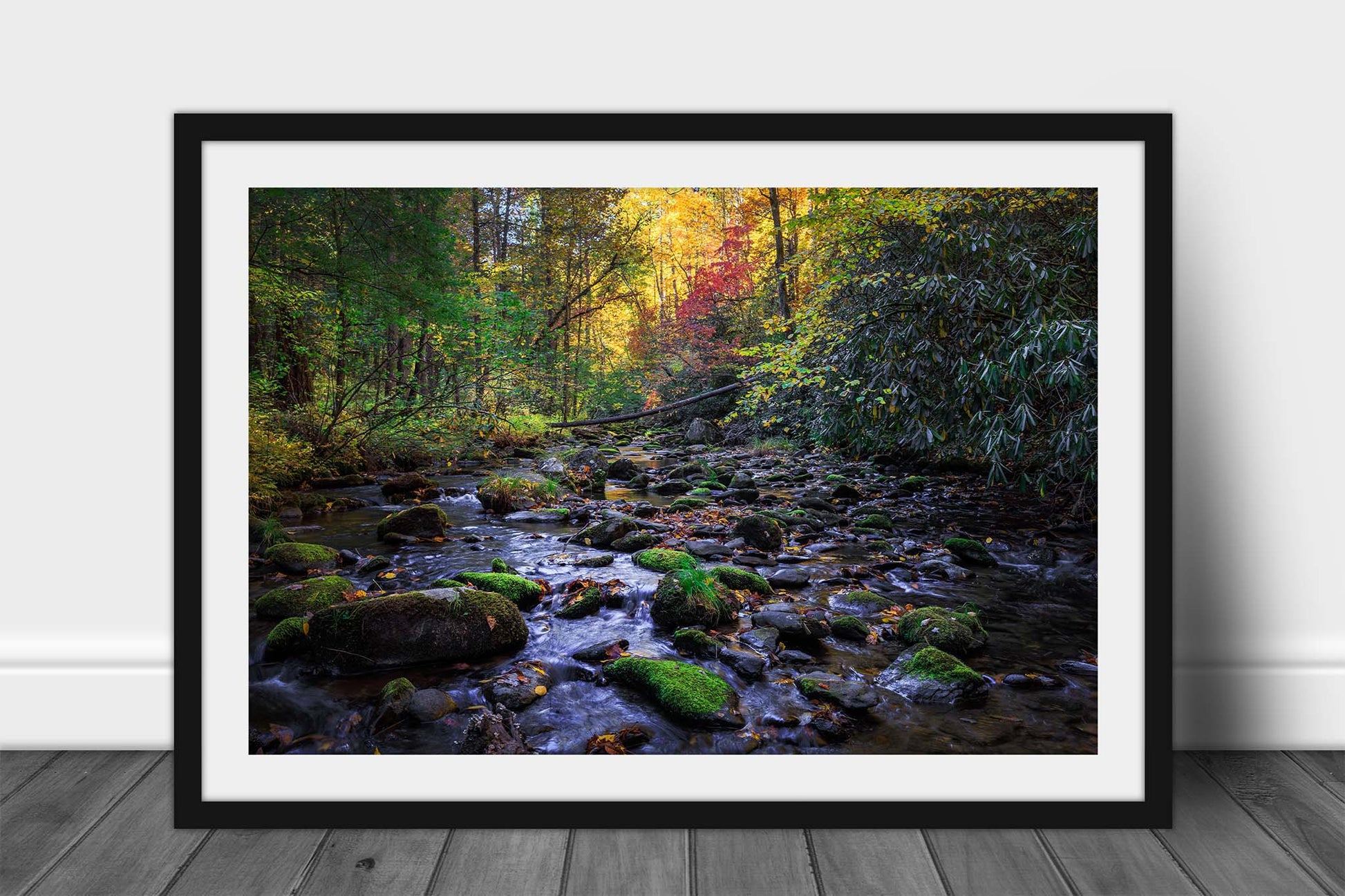 Framed and matted nature print of a creek surrounded by fall color on an autumn day in the Great Smoky Mountains of Tennessee by Sean Ramsey of Southern Plains Photography.