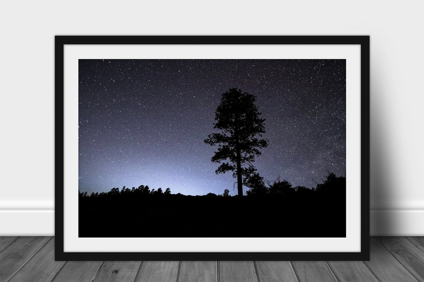 Framed and matted celestial print of a pine tree silhouette against a starry night sky in the Rocky Mountains of Colorado by Sean Ramsey of Southern Plains Photography.