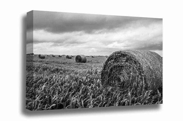 Country canvas wall art of round hay bales in a field on a spring day in Kansas in black and white by Sean Ramsey of Southern Plains Photography.
