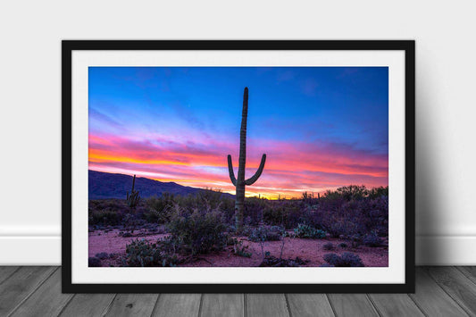 Desert southwest framed print with optional mat of a saguaro cactus standing tall at sunrise in the Sonoran Desert near Tucson, Arizona by Sean Ramsey of Southern Plains Photography.