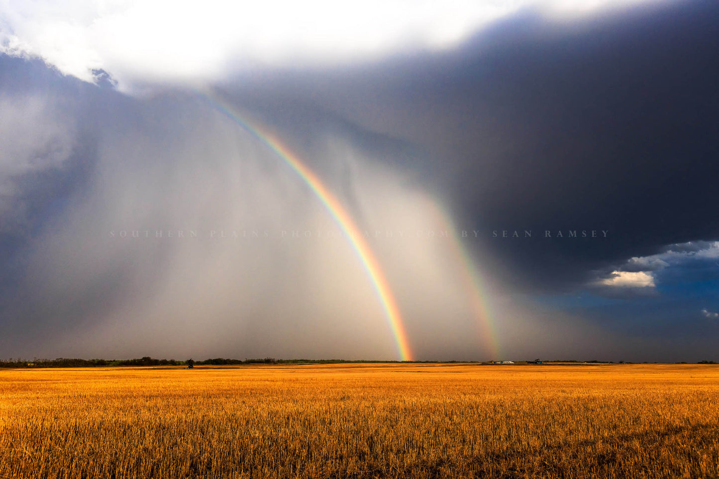 Stormy sky photography print of a brilliant double rainbow shining from a thunderstorm over a golden wheat field on an autumn day in Texas by Sean Ramsey of Southern Plains Photography.