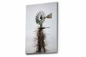 Country metal print on aluminum of an old windmill covered in vines on an abandoned farm in Oklahoma by Sean Ramsey of Southern Plains Photography.