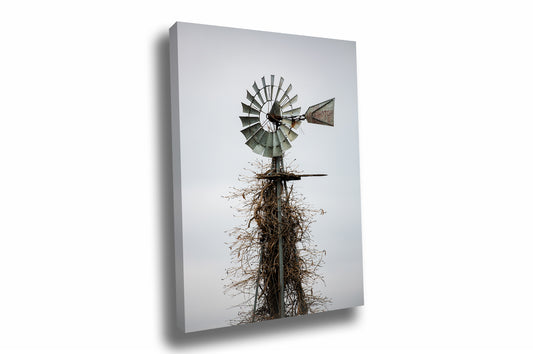 Canvas wall art of an old windmill with vines covering the legs on an abandoned farm in Iowa by Sean Ramsey of Southern Plains Photography.