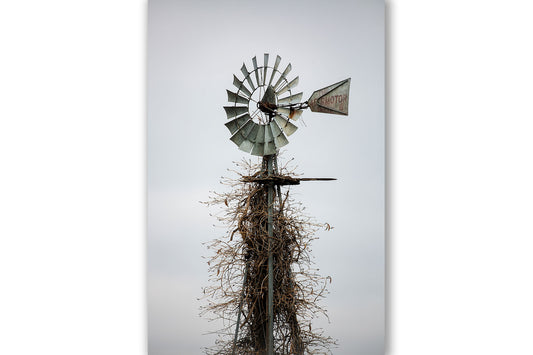 Vertical country photography print of an old windmill with legs covered in vines on an abandoned farm in Oklahoma by Sean Ramsey of Southern Plains Photography.
