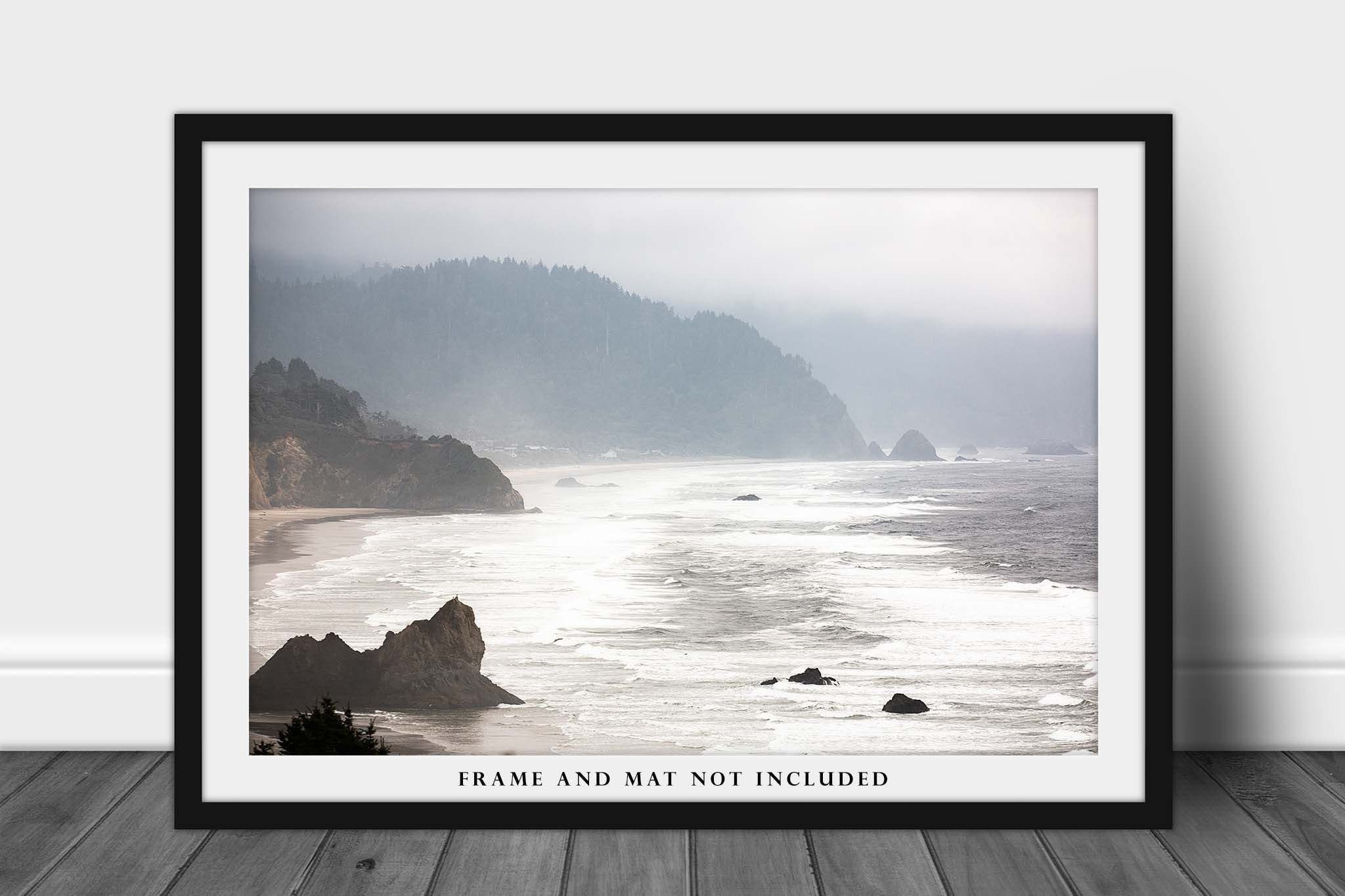 Oregon Coast Starfish Pacific Northwest Art Framed Beach cheapest Photography Print