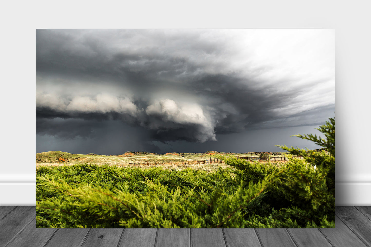 Storm aluminum metal print wall art of a supercell thunderstorm advancing over cedar bushes on a stormy spring day on the Nebraska prairie by Sean Ramsey of Southern Plains Photography.