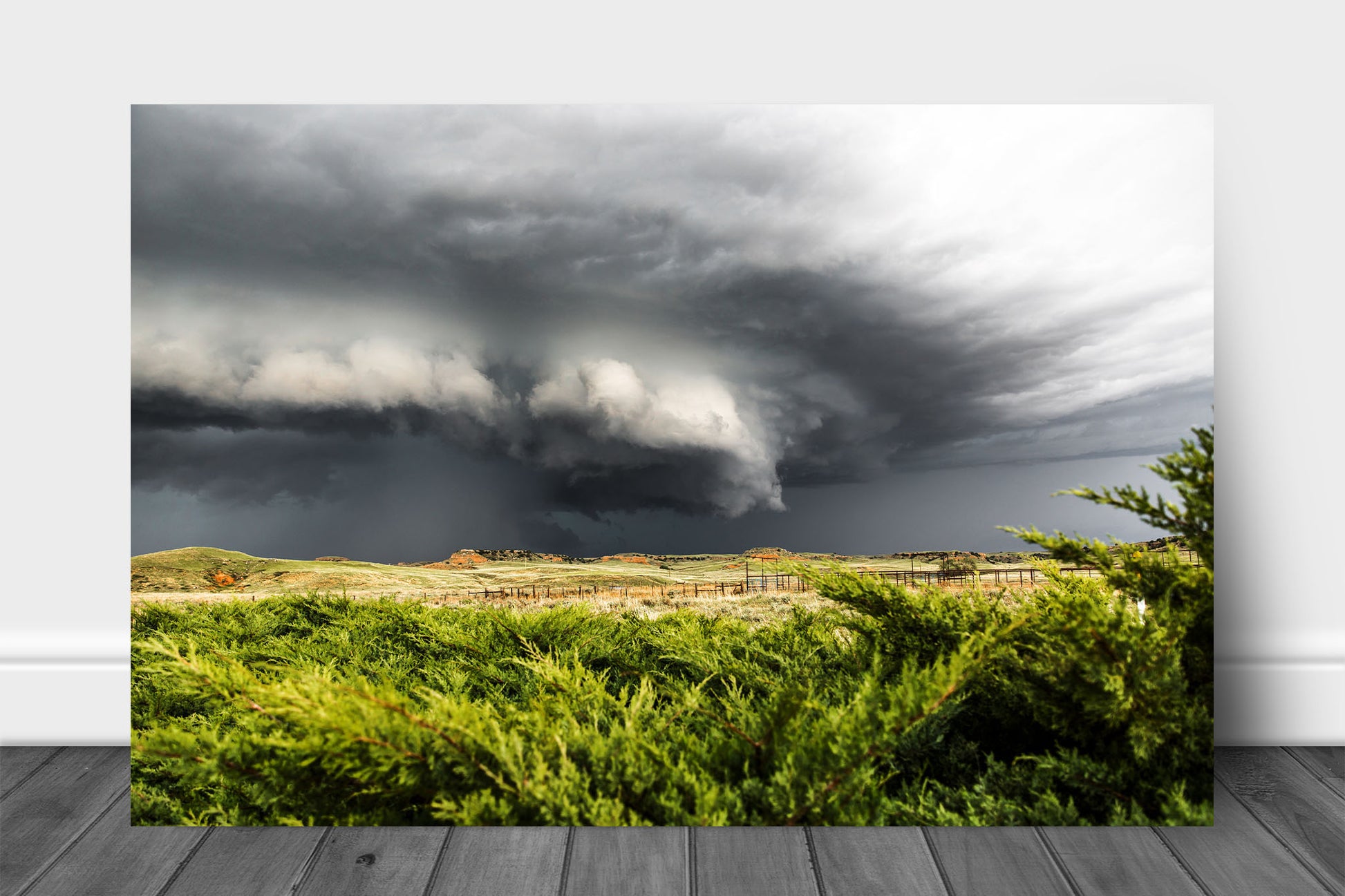 Storm aluminum metal print wall art of a supercell thunderstorm advancing over cedar bushes on a stormy spring day on the Nebraska prairie by Sean Ramsey of Southern Plains Photography.