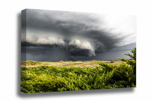 Storm gallery wrapped canvas wall art of a supercell thunderstorm advancing over cedar bushes on a stormy spring day on the Nebraska prairie by Sean Ramsey of Southern Plains Photography.