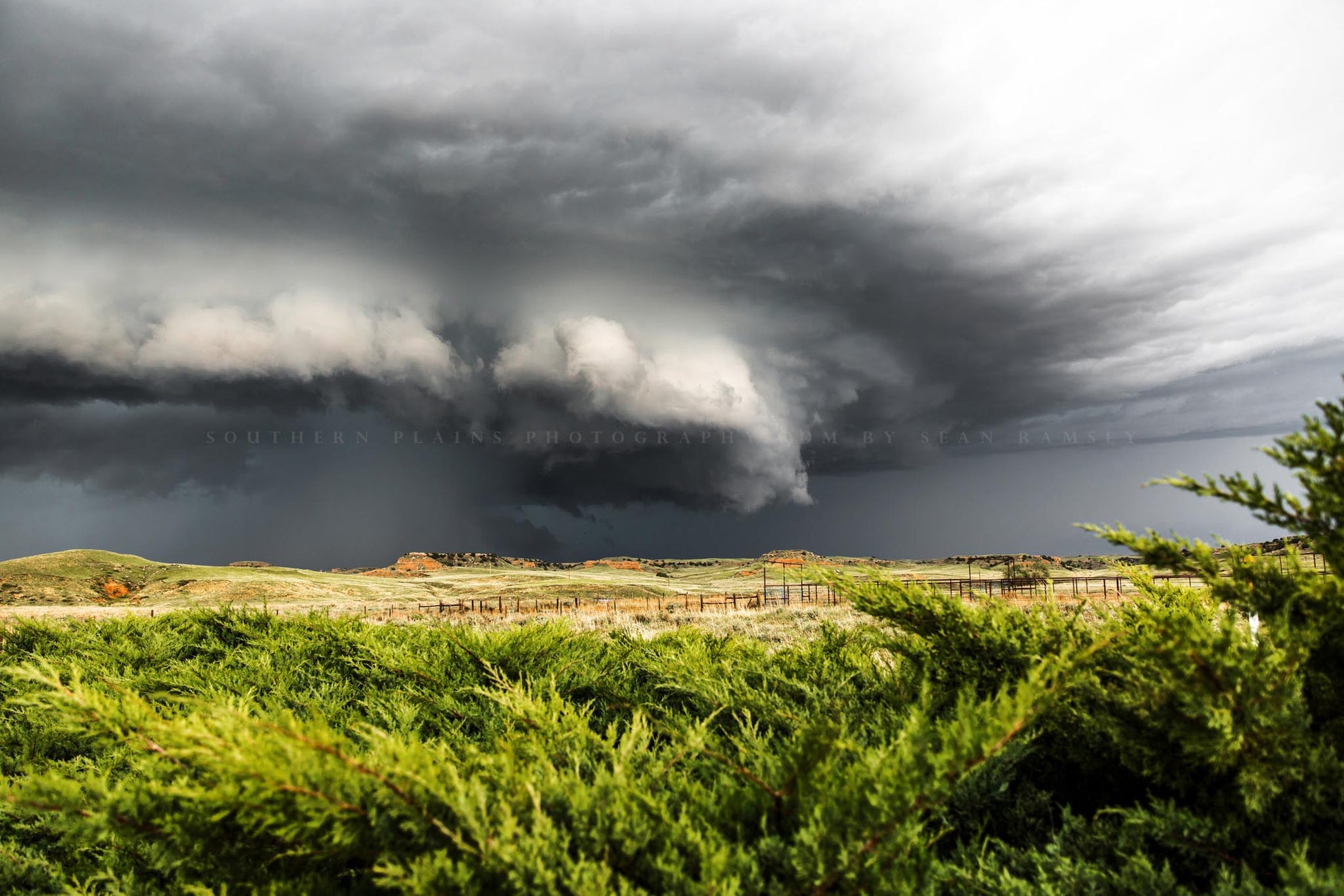 Storm photography print of a supercell thunderstorm advancing over cedar bushes on a stormy spring day on the Nebraska prairie by Sean Ramsey of Southern Plains Photography.