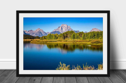 Framed Rocky Mountain print of Mount Moran overlooking Snake River at Oxbow Bend on an autumn day in Grand Teton National Park, Wyoming by Sean Ramsey of Southern Plains Photography.
