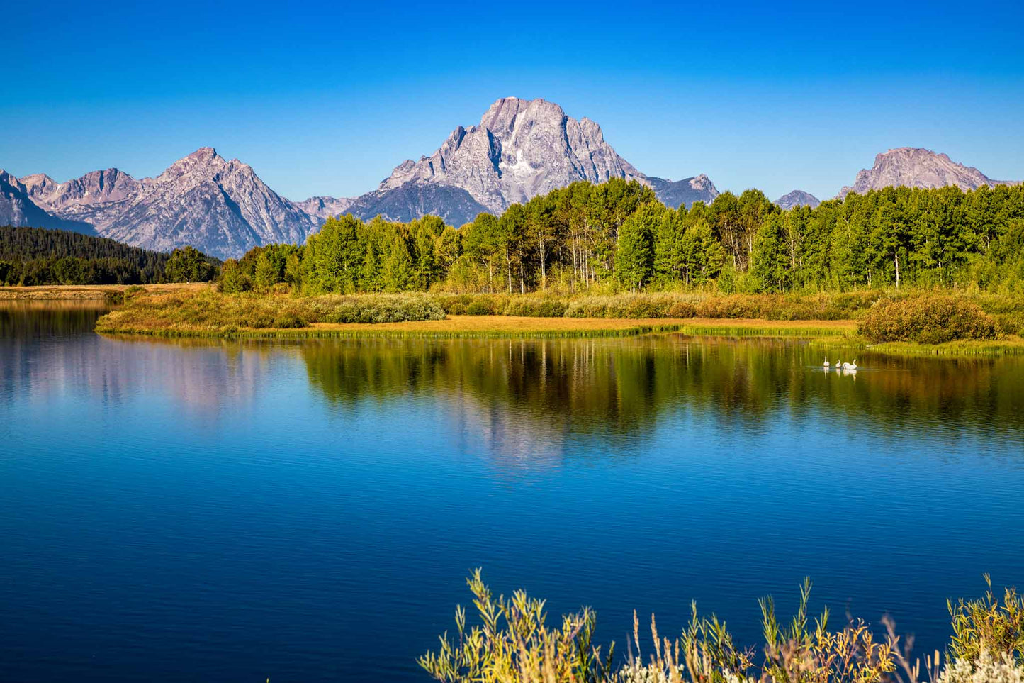 Rocky Mountain landscape photography print of Mount Moran overlooking the Snake River at Oxbow Bend on an autumn day in Grand Teton National Park, Wyoming by Sean Ramsey of Southern Plains Photography.