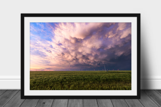 Stormy sky framed print wall art of mammatus storm clouds over a wheat field at sunset on a stormy spring evening in Texas by Sean Ramsey of Southern Plains Photography.
