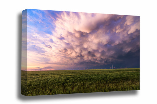 Stormy sky gallery wrapped canvas wall art of mammatus storm clouds over a wheat field at sunset on a stormy spring evening in Texas by Sean Ramsey of Southern Plains Photography.