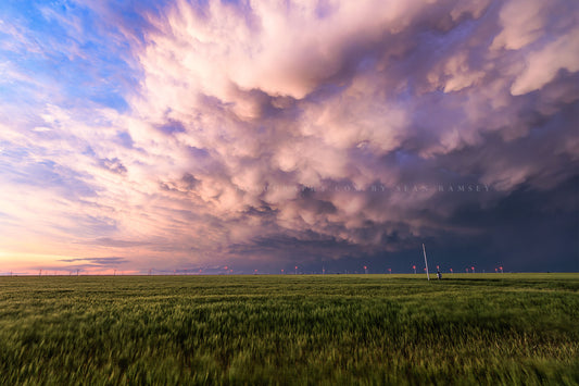 Stormy sky photography print of mammatus storm clouds over a wheat field at sunset on a stormy spring evening in Texas by Sean Ramsey of Southern Plains Photography.