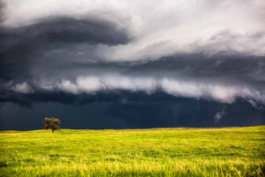 Storm photography print of a thunderstorm passing behind a lone tree on a spring day on the Nebraska prairie by Sean Ramsey of Southern Plains Photography.