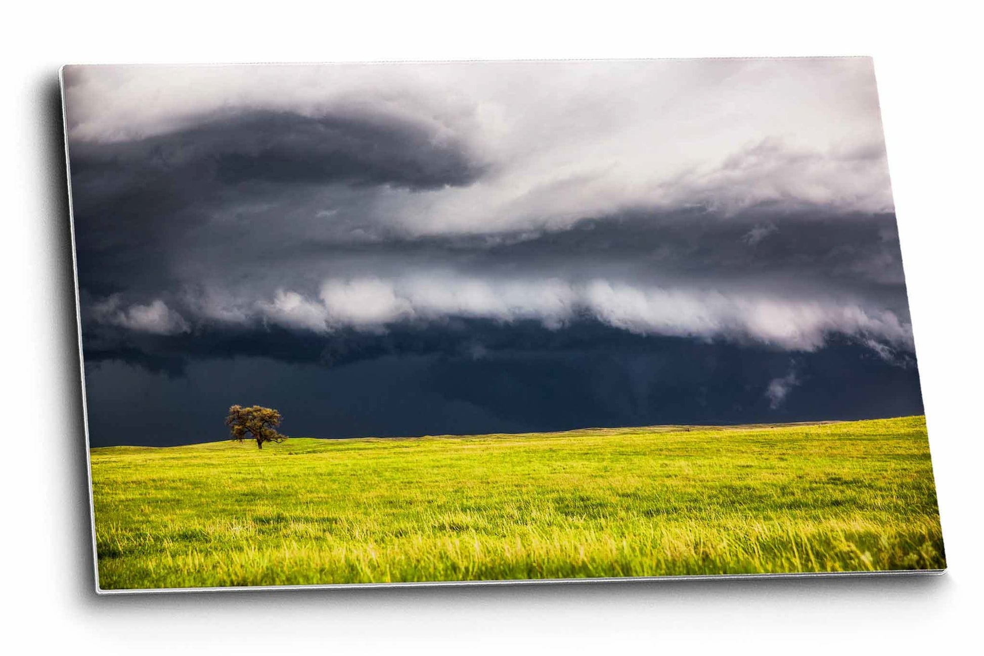 Storm metal print of an intense thunderstorm passing behind a lone tree on a stormy spring day in Nebraska by Sean Ramsey of Southern Plains Photography.