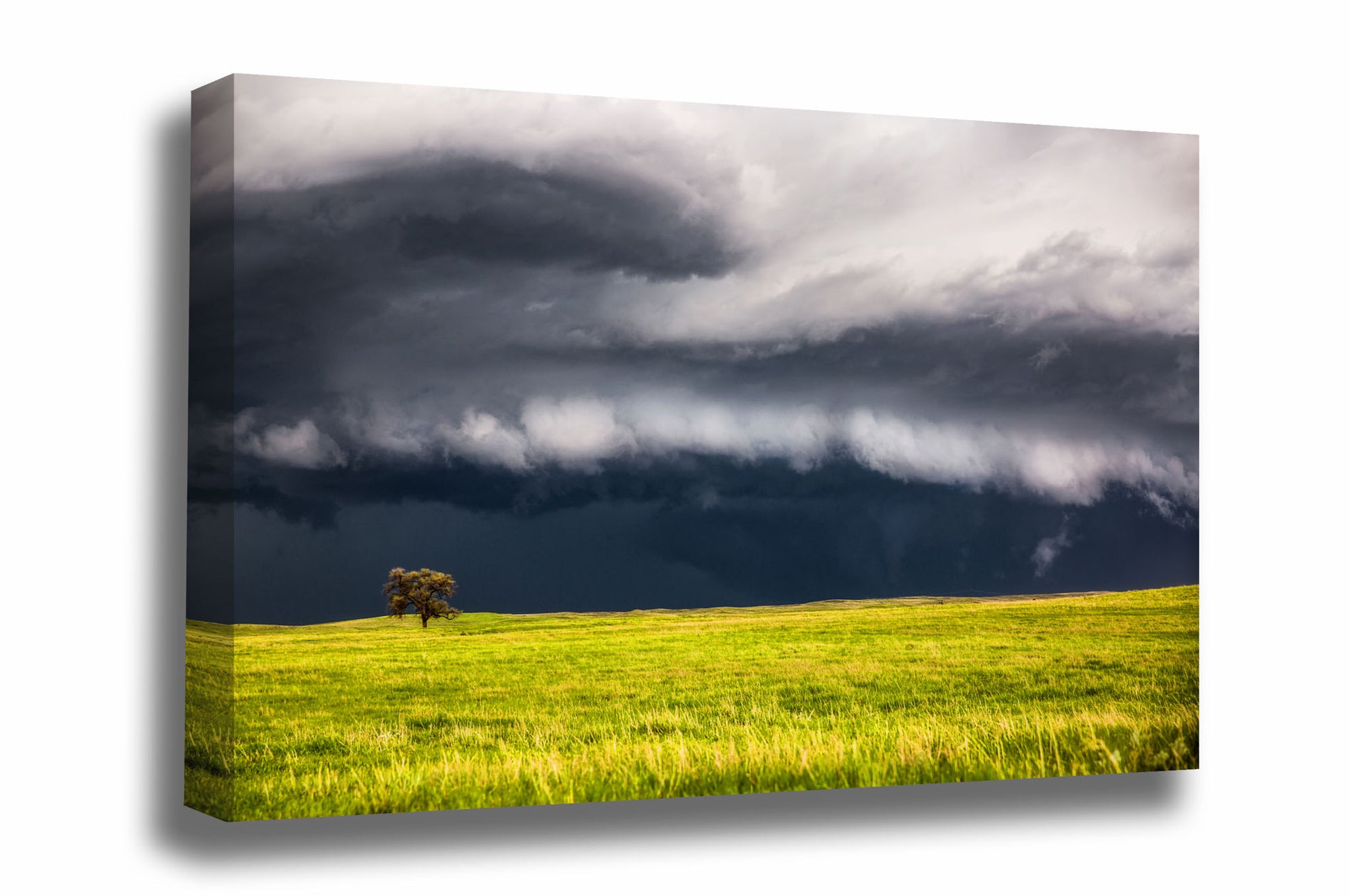 Storm canvas wall art of a supercell thunderstorm passing behind a lone tree on a spring day on the Nebraska prairie by Sean Ramsey of Southern Plains Photography.