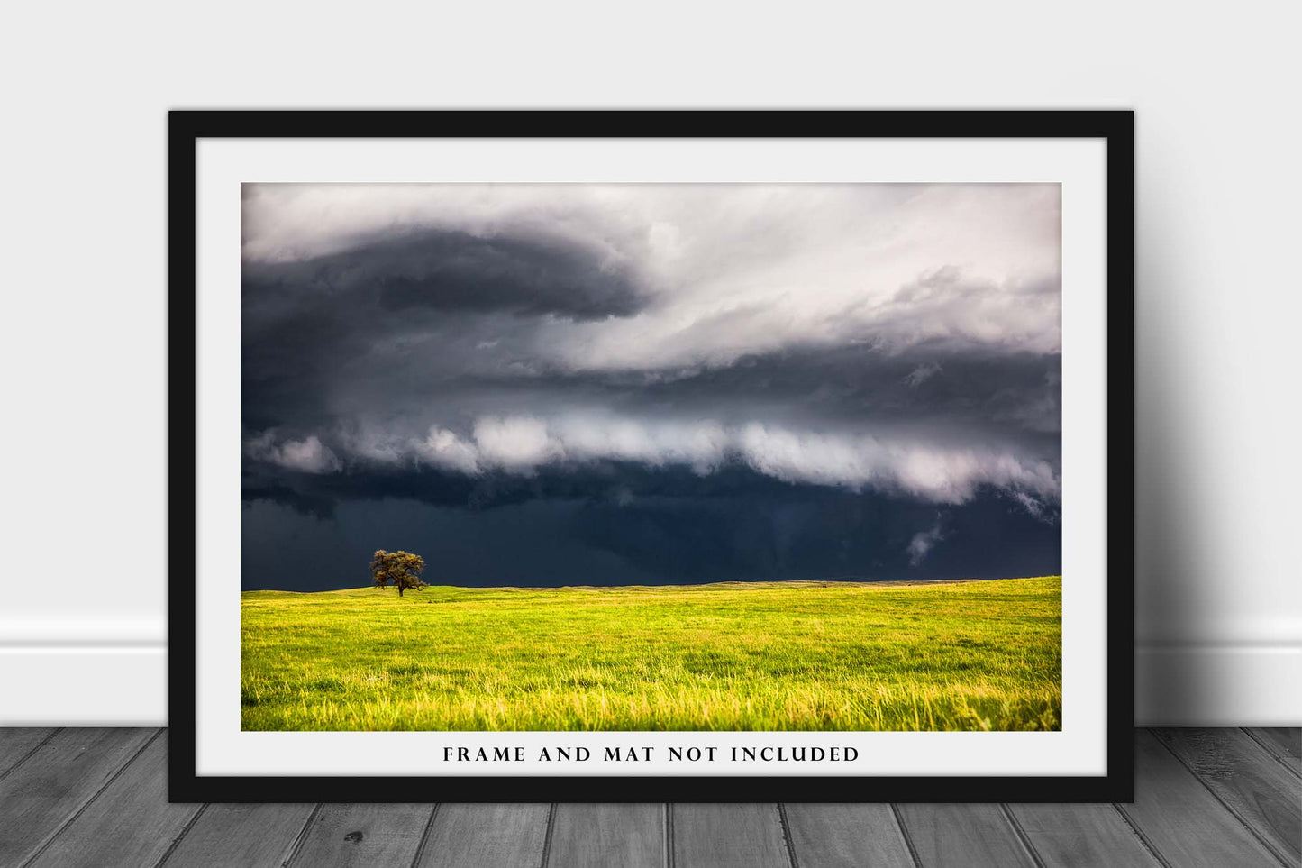 Storm Photography Print (Not Framed) Picture of Thunderstorm Passing Behind Lone Tree on Stormy Spring Day in Nebraska Prairie Wall Art Great Plains Decor