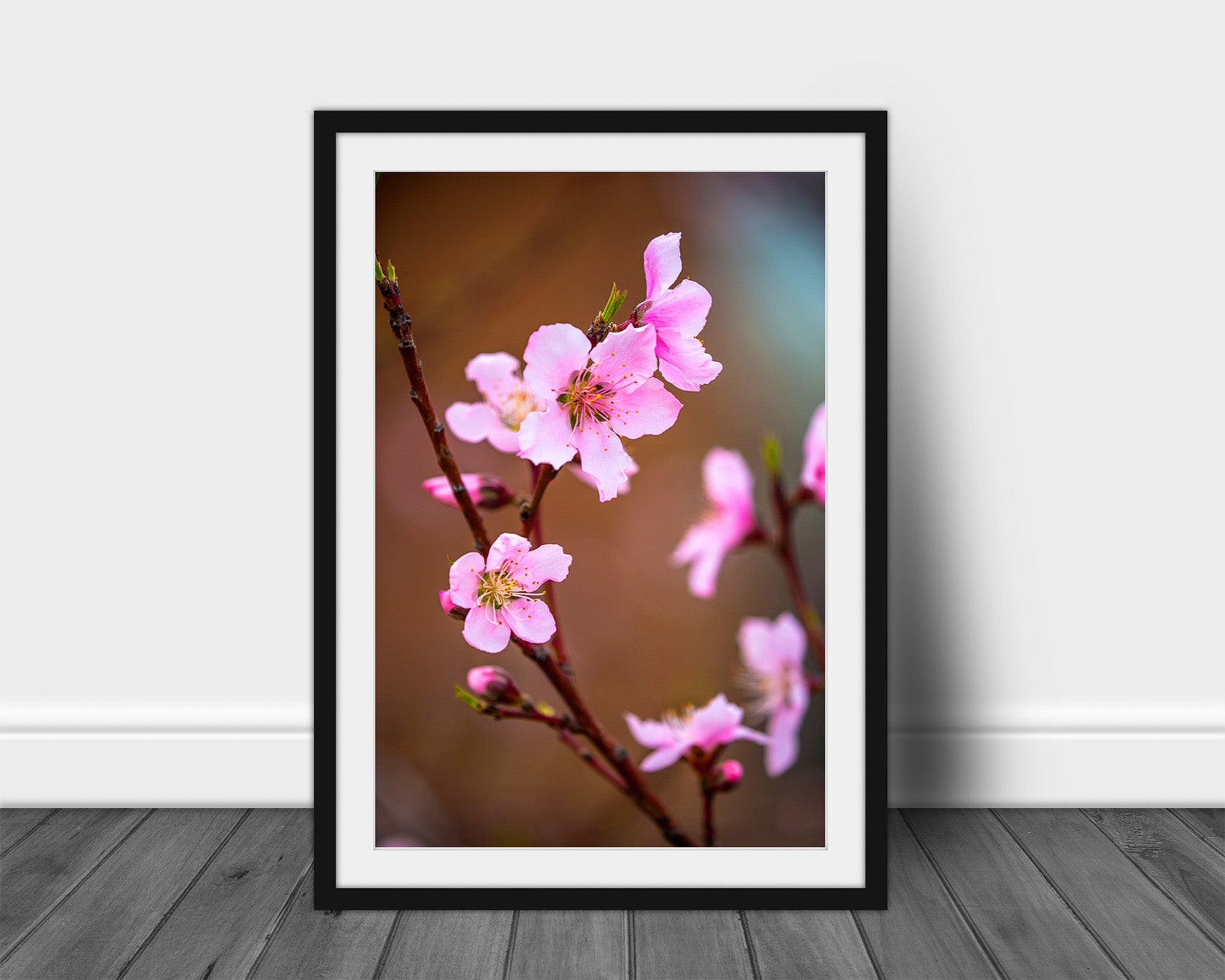 Framed and matted vertical floral print of beautiful pink peach blossoms on a spring day in Oklahoma by Sean Ramsey of Southern Plains Photography.
