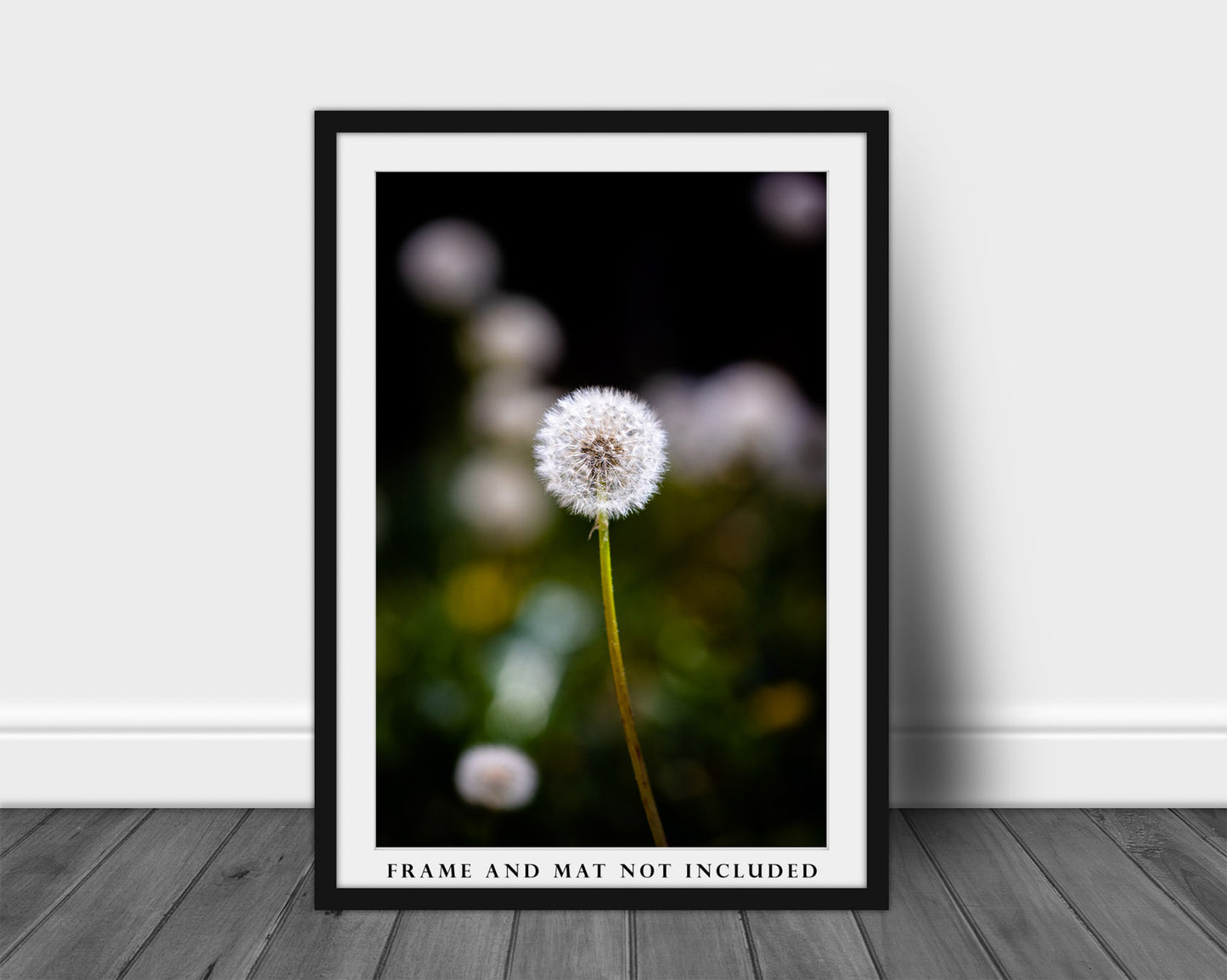 Botanical Photography Print - Vertical Picture of Perfect Dandelion on Spring Day in Oklahoma Plant Life Wall Art Nature Decor