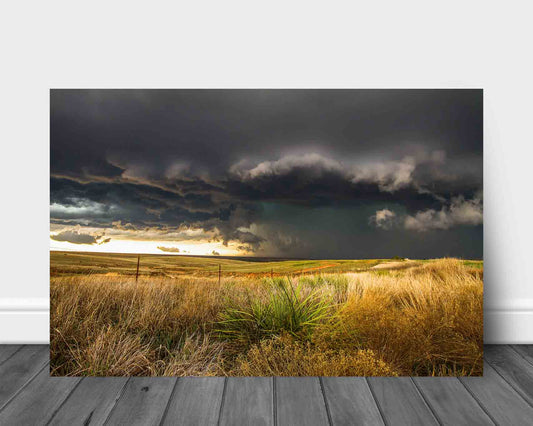 Storm metal print of a thunderstorm approaching a yucca plant on the plains of the Texas panhandle by Sean Ramsey of Southern Plains Photography.
