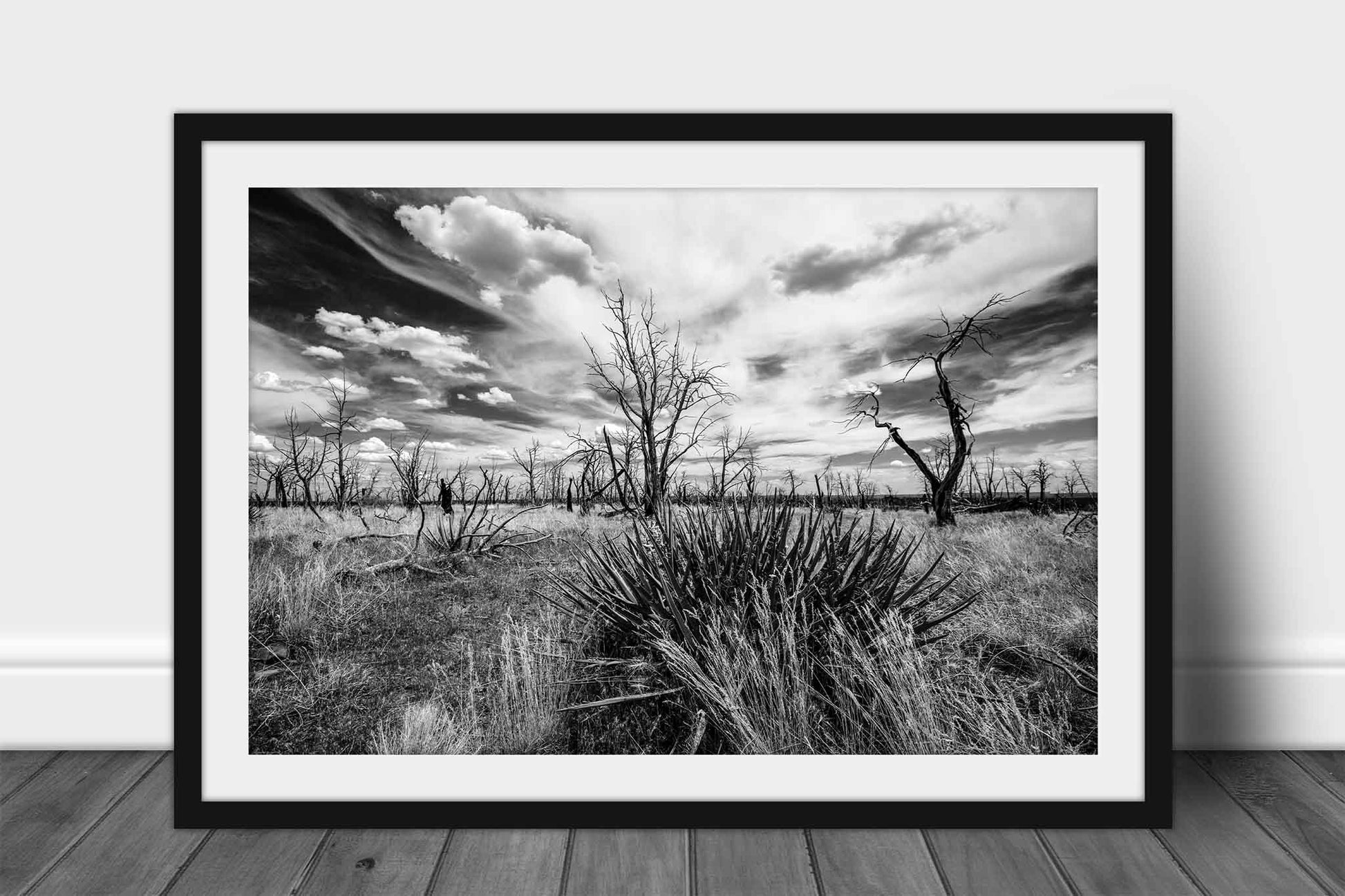 Framed black and white southwest landscape photography print wall art of a yucca plant and charred trees under a dreamy sky at Mesa Verde National Park, Colorado by Sean Ramsey of Southern Plains Photography.