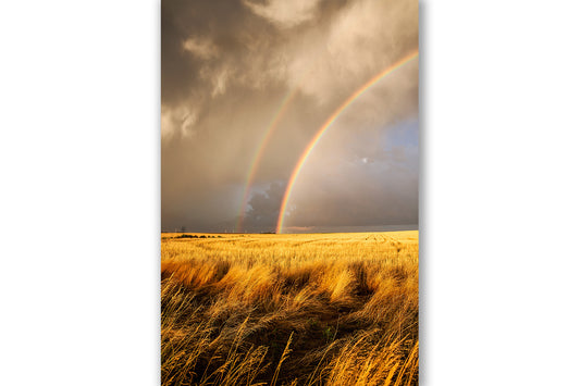 Great plains photography print of a brilliant double rainbow over a golden wheat field on an autumn day in Kansas by Sean Ramsey of Southern Plains Photography.