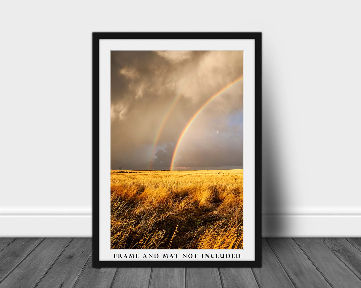 Great Plains Wall Art Photography Print - Vertical Picture of Bright Rainbow Over Golden Field in Kansas Scenic America Photo Artwork Decor